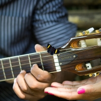 butterfly on guitar