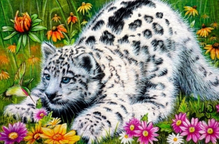 snow leopard - flowers, cats, leopard, animals