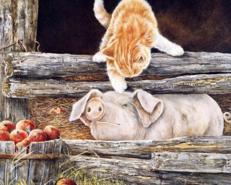 hey you..... - animals, cats, farm, pigs