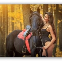 elegant lady with horse