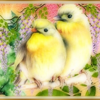 TWO CUTE BIRDS