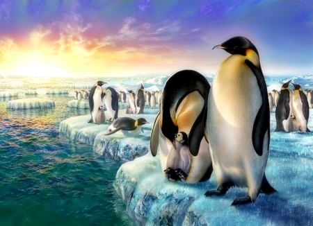 kaiser-pinguin - animals, northpol, pinguins, southpol