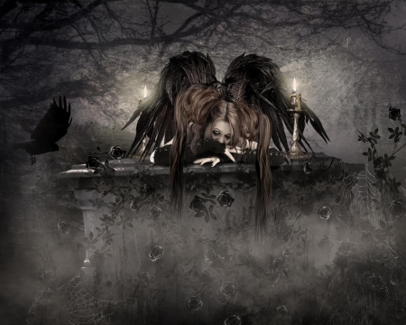 Gothic Angel..I've come for you..yes YOU - wings, angel, gothic, night, dark