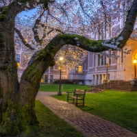 Spring by Quad University