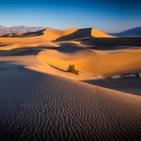 Sand Dunes in California