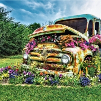 flower truck,