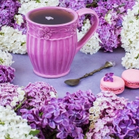 Teatime with Lilacs