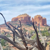 Cathedral Rock in Sedona, Arizona