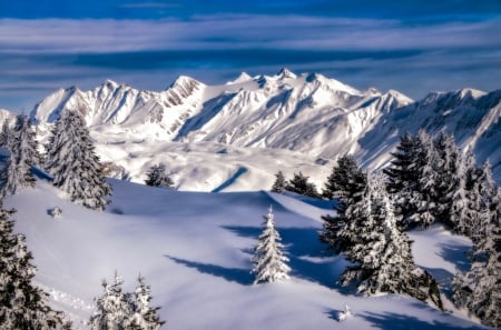 Winter - Trees, Mountains, Snow, Switzerland, Winter, Ice