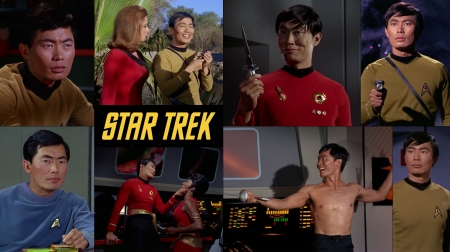 George Takei as Lt. Hikaru Sulu