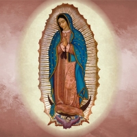 Our Lady of Guadalupe