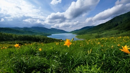 spring river - flowers, river, asia, sky