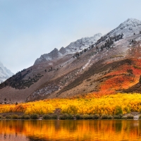 Fall Foliage Mountains