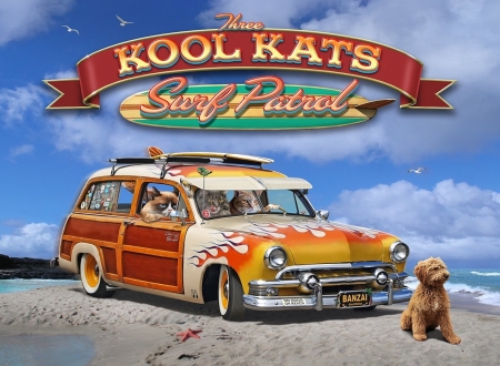 Three Kool Cats on Surf Patrol - dog, cats, cool, funny, surf, beach, patrol