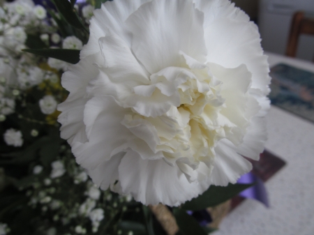 Pure White