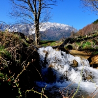 snow mountain...austria