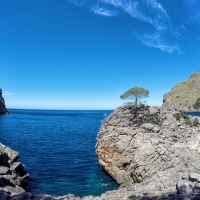 Water, land and life inTorrent de Pareis, La Calobra