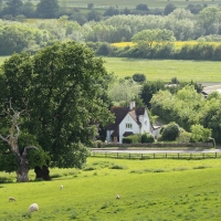 Spring Landscape