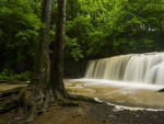 Spring Rains at Great Gully, Union Springs, NY