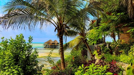 Tropical paradise - sea, palms, bungalow, plants, tropics, exotic, paradise, beautiful, beach, vacation, summer, rest, breeze, hut, sands, ocean