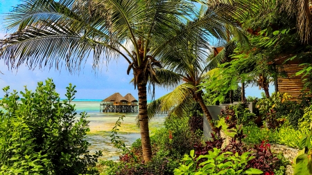 Tropical paradise - breeze, palms, summer, vacation, beach, beautiful, sea, ocean, rest, tropics, bungalow, exotic, plants, paradise, sands, hut