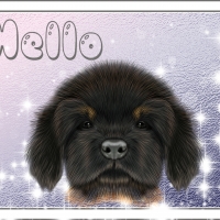 HELLO
