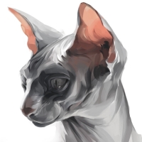 Sphynx