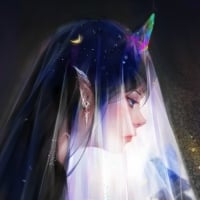 Unicorn bride