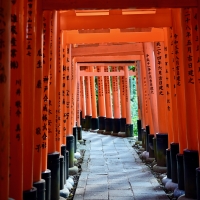 Torii Gate Japan