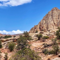 Capitol Reef NP, Utah