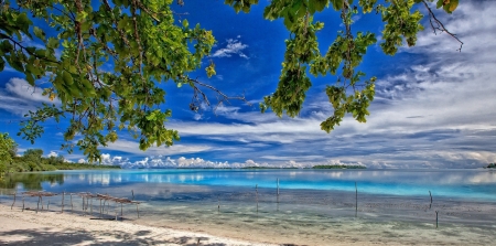 Sumba Island - plants, island, indonesia, beach