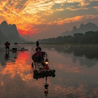 Cormorant Fishermen in China