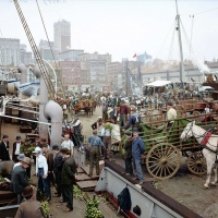 New York Docks (1900)