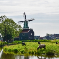 Windmill in Netherlands