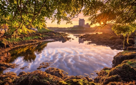 Dunguaire Castle in Ireland - sunbeams, Ireland, tree, castle, bay