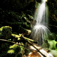 Waterfall in the forest