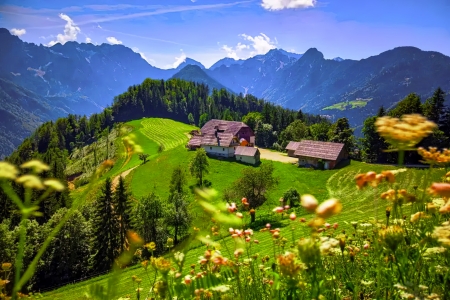 Slovenia - alps, beautiful, europa, grass, hills, houses, mountain, peaceful, sky, slovenia, summer, view, village, wiildflowers