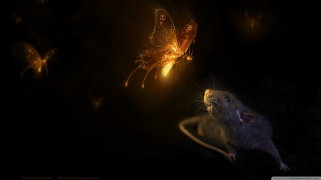 The firefly - rat, black, fantasy, firefly, yellow, mouse, dark, luminos