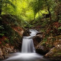 Forest Stream Waterfall, Navarre, Spain