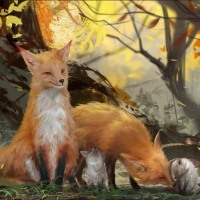 Fox family