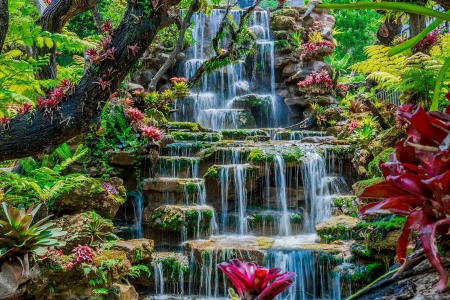 Waterfall in Thailand - Asia, cascades, summer, beautiful, forest, Thailand, waterfall, exotic, plants