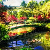 Bridge in Gibbs Garden, Northern Georgia