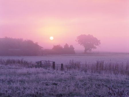 Frosty Farmland - morning, nature, fields, sky, winter