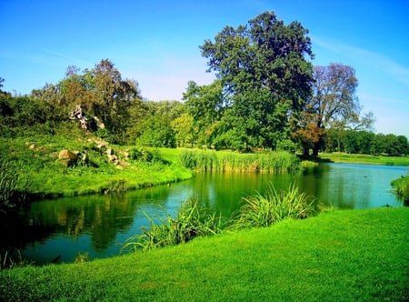 Beautiful Green - nice, sky, forests, trees, beautiful, water, grasslands, green