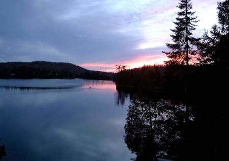 Sunrise River Forest #59 - reflections, sky, sunrises, forests, trees, pink, sunsets, landscapes