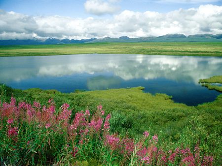 Beautiful Lake - nice, sky, trees, landscape, photography, water, grasslands, lakes, beautiful, green