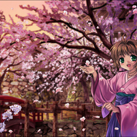 Japanese Clothes Kinomoto Sakura