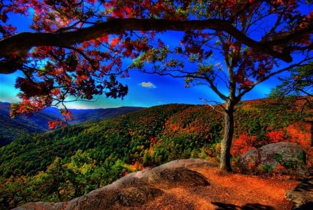 Autumn on the Mountain - fall, nature, autumn, blue skies, mountain