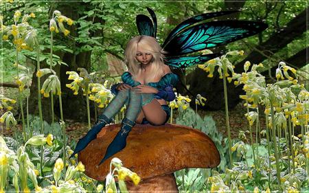 fairy - fairy, 3d