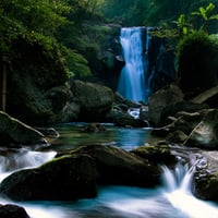 Nature Waterfall In HD